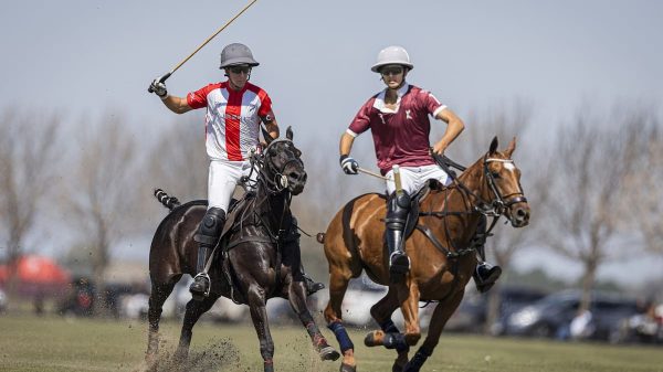 La nueva camada pisa fuerte: Lorenzo Chavanne y Mac Donough (h.), con el objetivo de Palermo