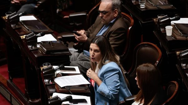 Silvia Lospennato, la rebelde de Pro que enfureció a Cristian Ritondo por su rechazo a los vetos de Milei