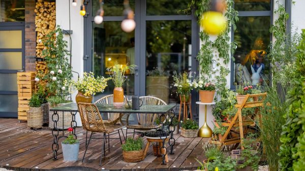 Qué cosas puedo hacer en mi jardín el mes de septiembre