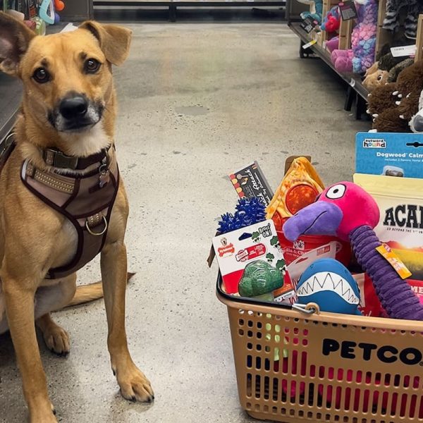 Adiós, Petco: la popular tienda de mascotas en EE.UU. anuncia el cierre de sus sucursales en 11 estados