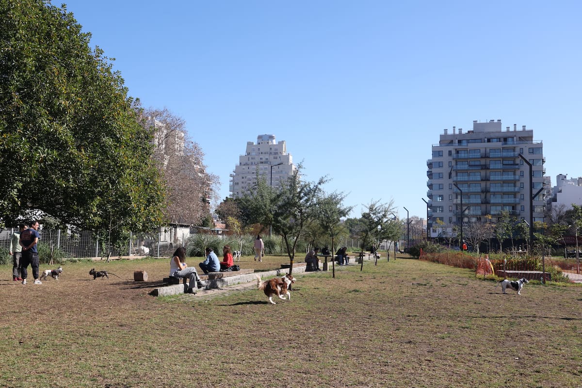 Plazas, parques y bosques urbanos: La hoja de ruta ambiental desde los vecinos porteños para mitigar las olas de calor