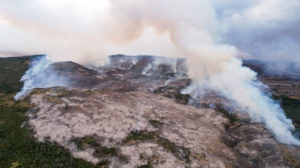 Inquietud. Al calor extremo y el viento se suma un riesgoso fenómeno que complicaría más el incendio forestal en Chubut