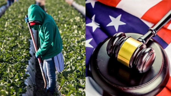 Duro golpe para migrantes: el Uscis pide que los que tengan asilo pendiente esperen un año entero para poder trabajar