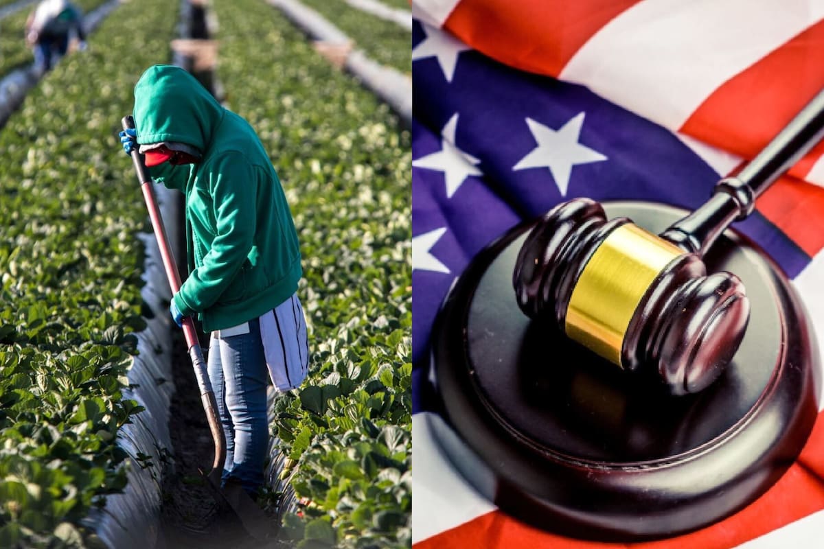 Duro golpe para migrantes: el Uscis pide que los que tengan asilo pendiente esperen un año entero para poder trabajar