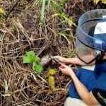 Soldados del Ejército Nacional realizan labores de desminado en Baraya, Huila, bajo un cielo despejado.
