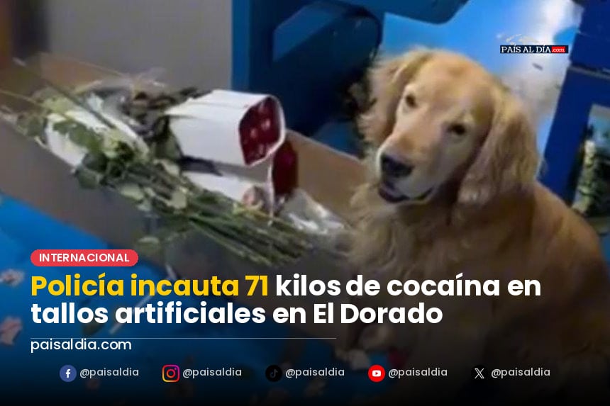 Policía muestra tallos de flores artificiales con cocaína incautada.