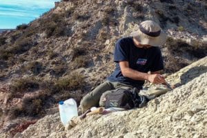 Fósiles expuestos en la cueva del condado de Comal, Texas, rodeados de herramientas de excavación.