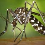 Un grupo de personas se reúne en la entrada de un hospital en Barranquilla, con rostros preocupados y flores en manos.