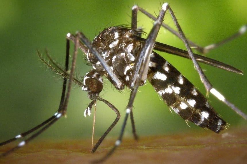 Un grupo de personas se reúne en la entrada de un hospital en Barranquilla, con rostros preocupados y flores en manos.