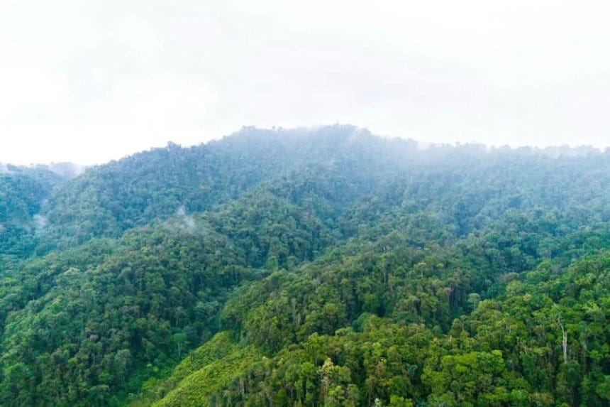 Vista panorámica del Parque Nacional Natural Puracé, con montañas y vegetación exuberante.