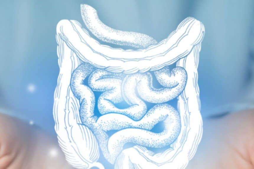 Un frasco de vitamina D junto a frutas y verduras frescas en una mesa de madera.